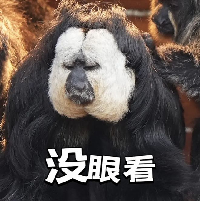 薅羊毛”白住10多家酒店 上海警方出手！PG麻将胡了试玩女子来沪旅游1个月竟靠“(图5)
