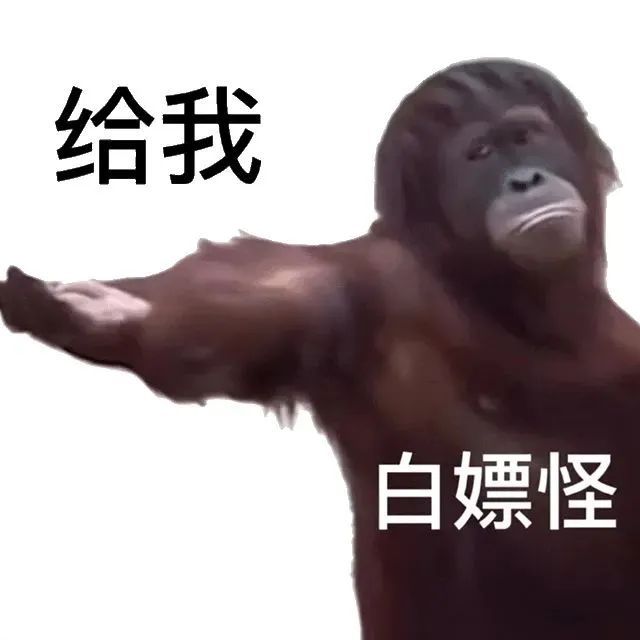 薅羊毛”白住10多家酒店 上海警方出手！PG麻将胡了试玩女子来沪旅游1个月竟靠“(图14)