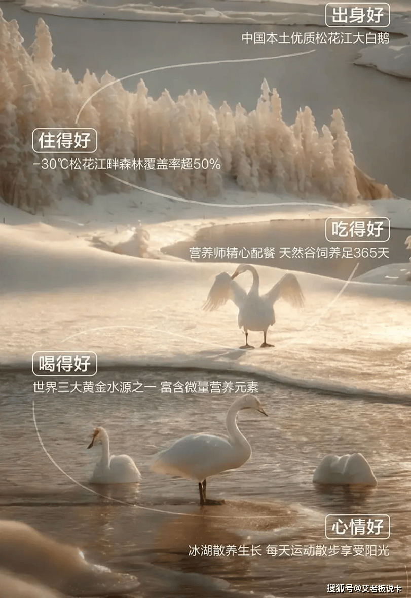 年末最后一波！冲啊！PG电子麻将胡了2(图13)